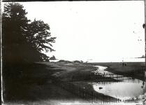 海岸