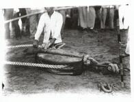 ろくろ（わんわん凧を揚げる際に利用）