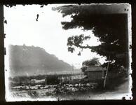 風景