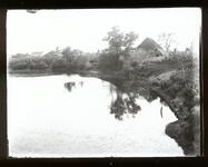 池の風景
