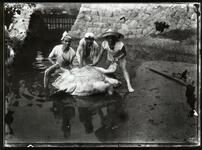 海亀　男性３人（写真複写）