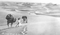 絵葉書（ラクダと旅人と砂漠）