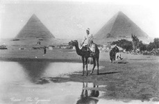 絵葉書（ピラミッドとラクダに乗る人）