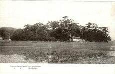 秀麗明媚小松島の風景　旗山