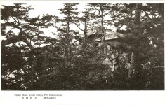秀麗明媚小松島の風景　日報神社