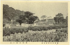 徳島市名勝絵葉書　徳島公園の景