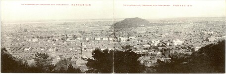徳島　徳島市街全景　全体