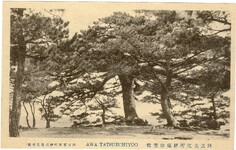 阿波立江名所絵葉書　阿波立江町経塚山笠松