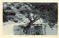 祖谷渓絵葉書　祖谷渓ノ景勝南日浦橋ノ風光
