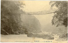 阿波国祖谷かづら橋実況