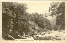 阿波十二景ノ内美馬郡祖谷蔓之橋