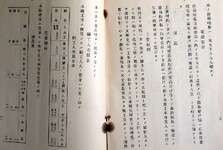 徳島線建設概要（電線架設、運送、主要材料、職工人夫賃金表、従事職員）(10-11)