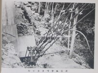 琴平方トルグル装置
