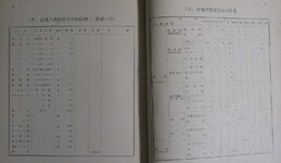 土讃北線伊予川橋梁白川橋梁第二吉野川橋梁架設工事（38-39頁）