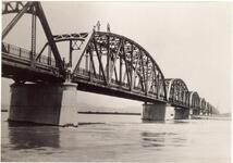 吉野川橋架橋全体5