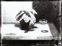 生物（植物・ワイングラス）