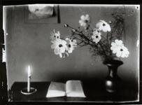 生物静かなるもの（コスモス・本・蝋燭）