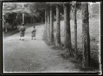 並木・男の子２人