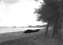 海岸、横須海岸、弁天山