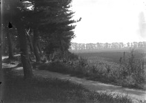 松林、横須、弁天社付近