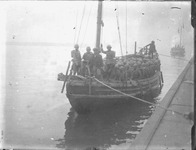 徳島歩兵第４３連隊・上海事変から帰還？