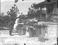 徳島歩兵第４３連隊・神事