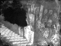 徳島歩兵第４３連隊・英霊の帰還