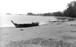 小松島横須海岸