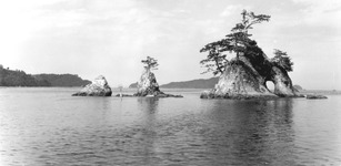 橘湾①(室戸阿南海岸国定公園)