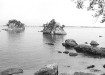 橘湾②