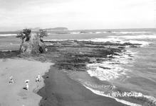 八坂八浜の印象