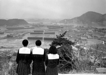 塩田風景　流下式塩田と小鳴門橋