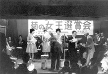 菊の女王選賞会(鴨島町)