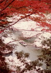 大歩危と遊覧船④紅葉・カラー