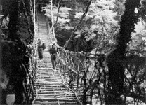 祖谷のかずら橋