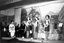 鴨島菊の女王選賞会①