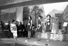 鴨島菊の女王選賞会③