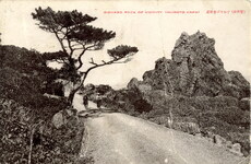 ビシヤゴ岩附近(室戸岬)