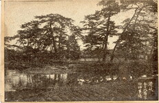 讃岐金刀比羅宮御神事場