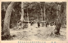 源平古戦場屋島登山記念遊覧籠(讃岐)