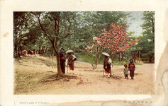 高松市栗林公園