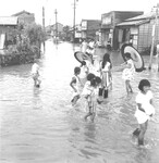雨降れば………
