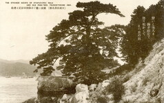 微波に揺ぐ奇巌御多?岩と老松（阿波椿泊名勝）①