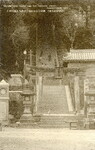 幽邃なる原始林と森巌なる佐田神社（阿波椿泊名勝）②