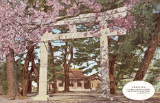 徳島・護国神社②