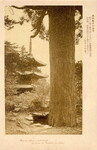 建築芸術の至寳(大滝山)