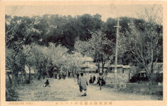 阿波岩脇公園花のトンネル