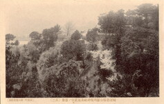 阿波岩脇公園花のトンネル