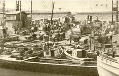 魚河岸　主婦の友付録