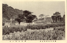 徳島市名所絵葉書　徳島公園の景